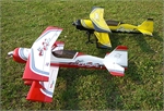 PITTS 12 PYTHON 50E WR